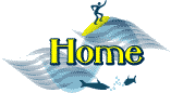 home.gif (2347 bytes)