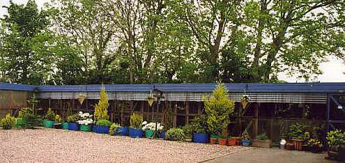 catsaway01a.jpg (44523 bytes)